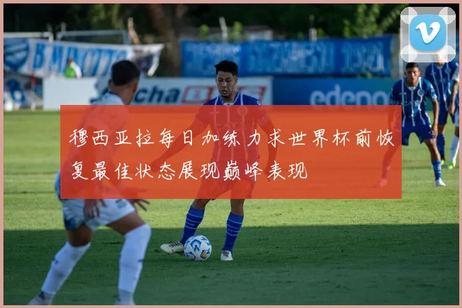 穆西亚拉每日加练力求世界杯前恢复最佳状态展现巅峰表现
